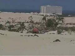 Mi videos pornos amateurs mexicanos corazón de oro rosa con el pelo rojo me hizo pagar por un maravilloso televisor