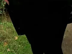 Dora X es una xnxn mexicanas mierda increíble para cuatro personas.