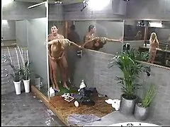 Los que aman a Tom, Matt chupa la polla estrella porno mexicana